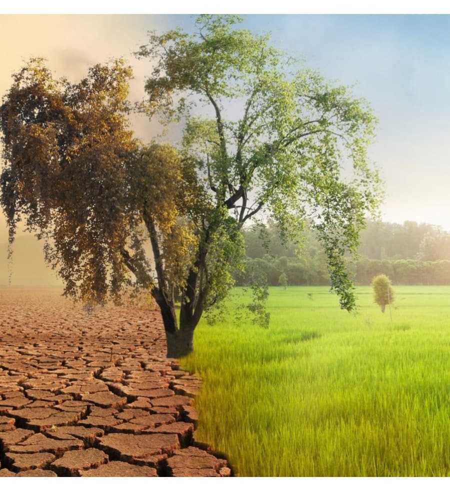 Split landscape showing drought versus healthy farmland
